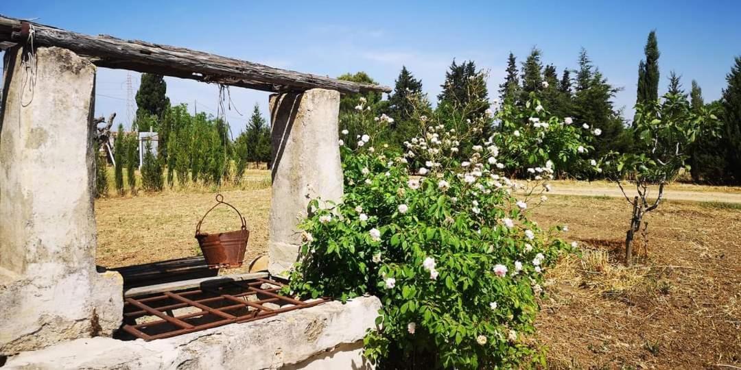 Le Cernicole Villa Melissano Ngoại thất bức ảnh